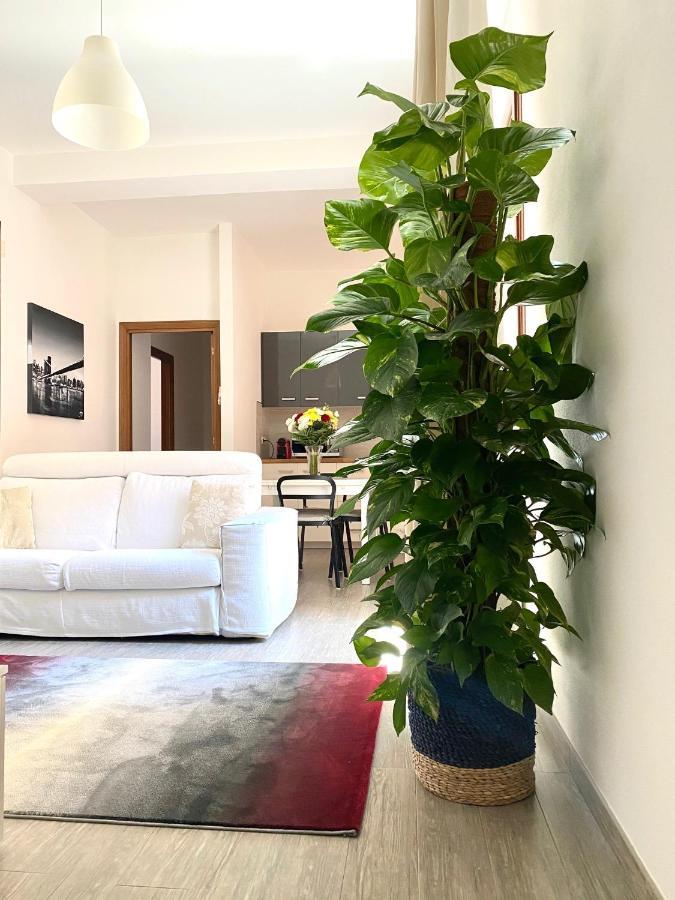 Апартаменты Delonix Regia Ольбия Экстерьер фото